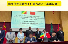 视频 | 非洲茯苓来靖州了！官方准入 + 品质过硬！