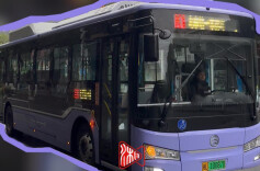 快！～紫色定制公交来了！