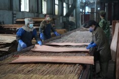 绥宁：工业企业复工提速 助力首季开门红