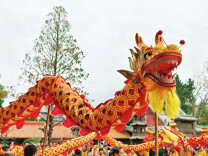 非遗龙舞添年味 文明新风润祝融——南岳祝融街道系列新春民俗活动异彩纷呈