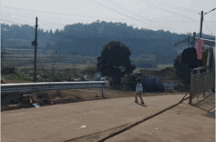 湖南消防丨外孙女放“窜天猴”烟花 外公三轮车惨遭“空袭”