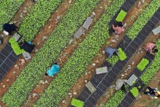不只有颜值！镜头下的湖南春耕：是风景，更是生产力
