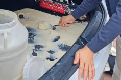 观点 | 妈妈的牵挂与偏爱“富得流油”