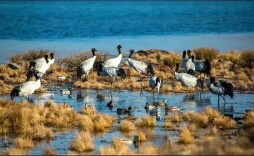 云南昭通一村民强行带游客进入景区，阻碍执行公务被行拘五日