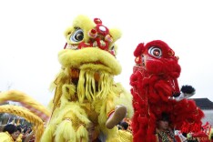 全城沸腾，万人空巷！今天，珠晖区龙狮闹元宵刷屏了