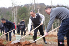 宁远县开展新春义务植树活动