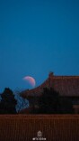 好有氛围感！元宵来看故宫的月亮