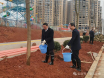 双峰县开展全民义务植树活动