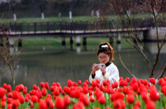 2026 Changsha Landscape and Ecology Garden Spring Floral Art Festival to Open