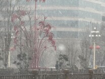 京城多地飘雪，多图直击