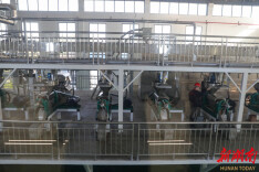 开局八好·乘势而上｜衡阳县：项目建设跃马扬鞭逐春光  第一批发布重点项目101个