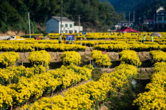 醴陵新增三家国家AAA级景区，你都去过吗？
