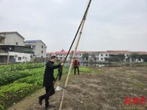 珠晖区：开展“清网护鸟”行动 共绘和谐生态画卷