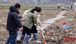 洲岛闹元宵  年味满湘江