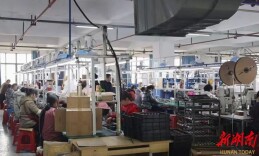 开局八好·乘势而上｜衡阳县：激活企业主体“一池春水”预计年内新增“四上”企业逾40家