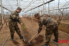 蒸湘区：迷彩助耕传薪火 青春砺志学雷锋