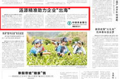 涟源精准助力企业“出海”|湖南日报市州头条