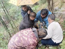 三倍用水峰值下的“放心水”——洞口县水利局春节农村供水保障工作纪实