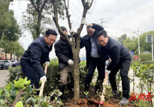 娄底市城管系统开展义务植树活动