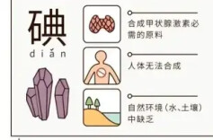 科学精准补碘！国家级行动方案发布