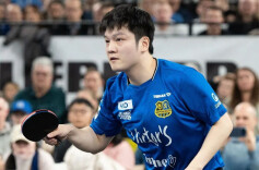 王励勤回应“樊振东回归国家队”：目前还在联系