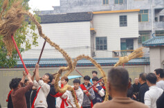 老艺新传！临武刘家村稻草龙闹春