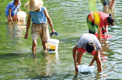 蹲点十村，看乡村振兴再出发｜新华蹲点调研