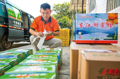 新华社为何关注郴州这箱橘子