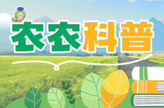 农农科普 | 草莓正当“食”！这些谣言不可信！