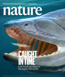 复原“剁椒鱼头”！人和现生鱼类的祖先长这样