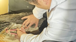 一只黑鹳获救啦