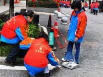 新邵县芙蓉学校：践行雷锋精神，争当时代好少年