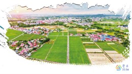 北盛镇马战村：将军故里 马战新程