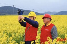 国网桂阳县供电公司：电亮金色海洋  赋能乡村振兴