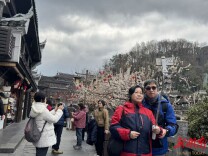 图集｜春遇凤凰，樱花绽放