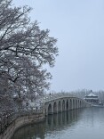 今晨，北京雪后美景氛围感拉满