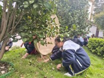 湘北职专：学雷锋践行动，志愿微光暖校园