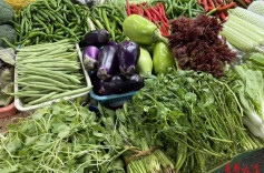 三湘四水春鲜起，湖南人该去菜市场“掐尖”了