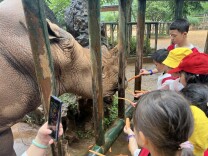 托女神的福，可以与长沙生态动物园“萌宠”零距离互动了