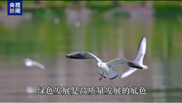 总书记关心的事丨生态优先 绿色低碳的新答卷