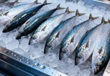 吃鱼也有讲究！专家提醒：这几类鱼尽量少吃