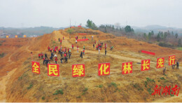 增添一片新绿!衡阳县党员干部参加义务植树活动