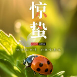 惊蛰启，春意浓