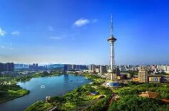 曹慧泉在渌口区调研“十五五”产业发展