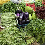 三湘四水春鲜起，湖南人该去菜市场“掐尖”了