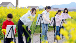 赴一场花海之约，石门春日氛围感拉满！