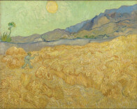 梵高博物馆举办特展，聚焦阿尔勒“黄色海洋”