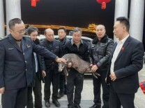 城步两名中学生深夜救助国家二级重点保护动物毛冠鹿