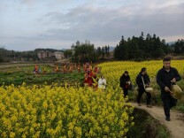 邵东车马灯燃爆新春