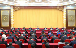 习近平看望全国政协委员